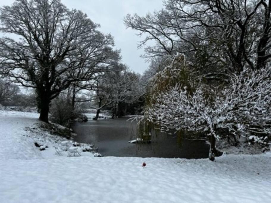 Charming Picturesque Cottage - Nr Tenterden & Rye, Pets Welcomed Rolvenden Экстерьер фото
